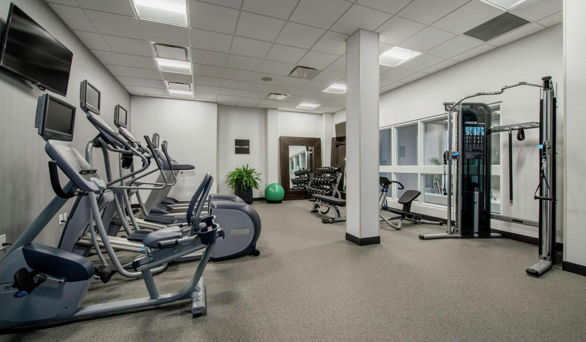 Hilton Garden South